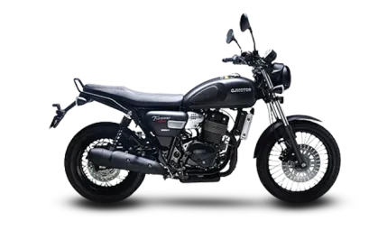 Images of QJ Motor SRC 250